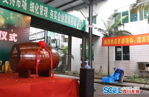 青島啤酒易拉罐生產線落地瀘州