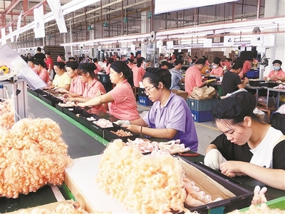 廣西北流市以招商引資工作為抓手推動(dòng)縣域經(jīng)濟(jì)高質(zhì)量發(fā)展