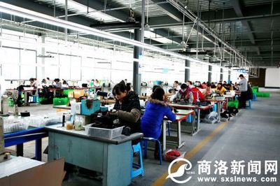 重大項目微掃描:一起了解丹鳳鳳發實業保健鞋、毛坪農業產業園項目